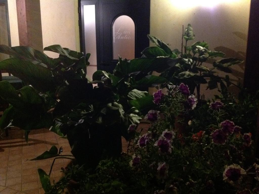 L' Aia Antica Bed & Breakfast Veroli Eksteriør bilde